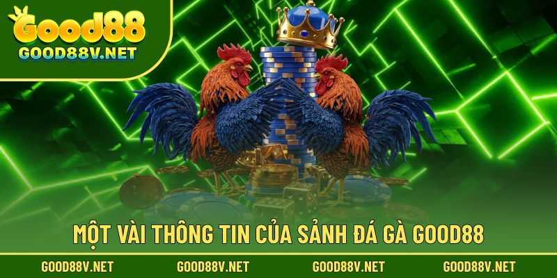 Đá Gà Good88 – Sảnh Thi Đấu Trực Tuyến Chuẩn Kê Trường Châu Á 1 Khám phá những thông tin nổi bật về sảnh đá gà Good88