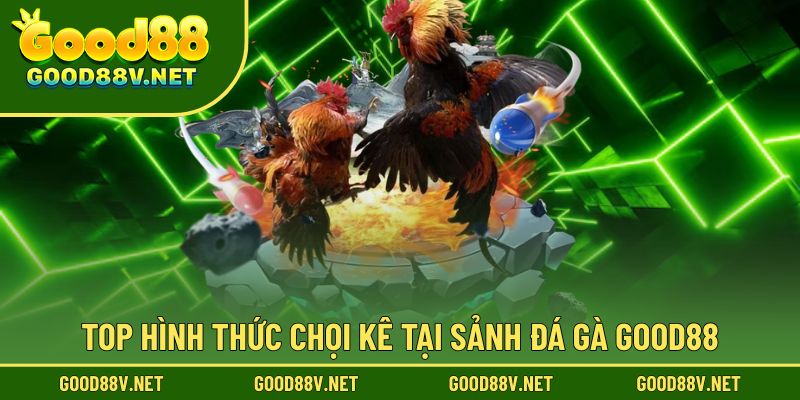 Đá Gà Good88 – Sảnh Thi Đấu Trực Tuyến Chuẩn Kê Trường Châu Á 3 Các hình thức chọi gà nổi bật tại sảnh đá gà