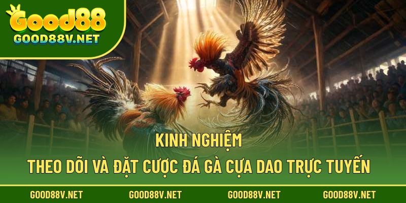 Đá Gà Cựa Dao GOOD88 – Đắm Chìm Trong Sự Hồi Hộp Mỗi Trận Đấu 4 Kinh nghiệm theo dõi và đặt cược đá gà cựa dao trực tuyến