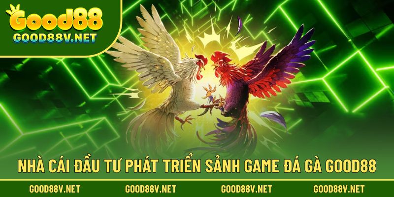Đá Gà Good88 – Sảnh Thi Đấu Trực Tuyến Chuẩn Kê Trường Châu Á 2 Good88 chú trọng đầu tư và phát triển mạnh mẽ sảnh game